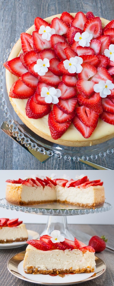 WHITE CHOCOLATE CHEESECAKE. A smooth creamy rich white chocolate cheesecake over a honey graham cracker hazelnut crust.