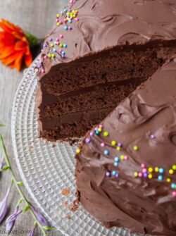 CHOCOLATE BIRTHDAY CAKE. A decadent 3-layer chocolate cake surrounded with the most luxurious rich chocolate frosting. Perfect for any occasion.