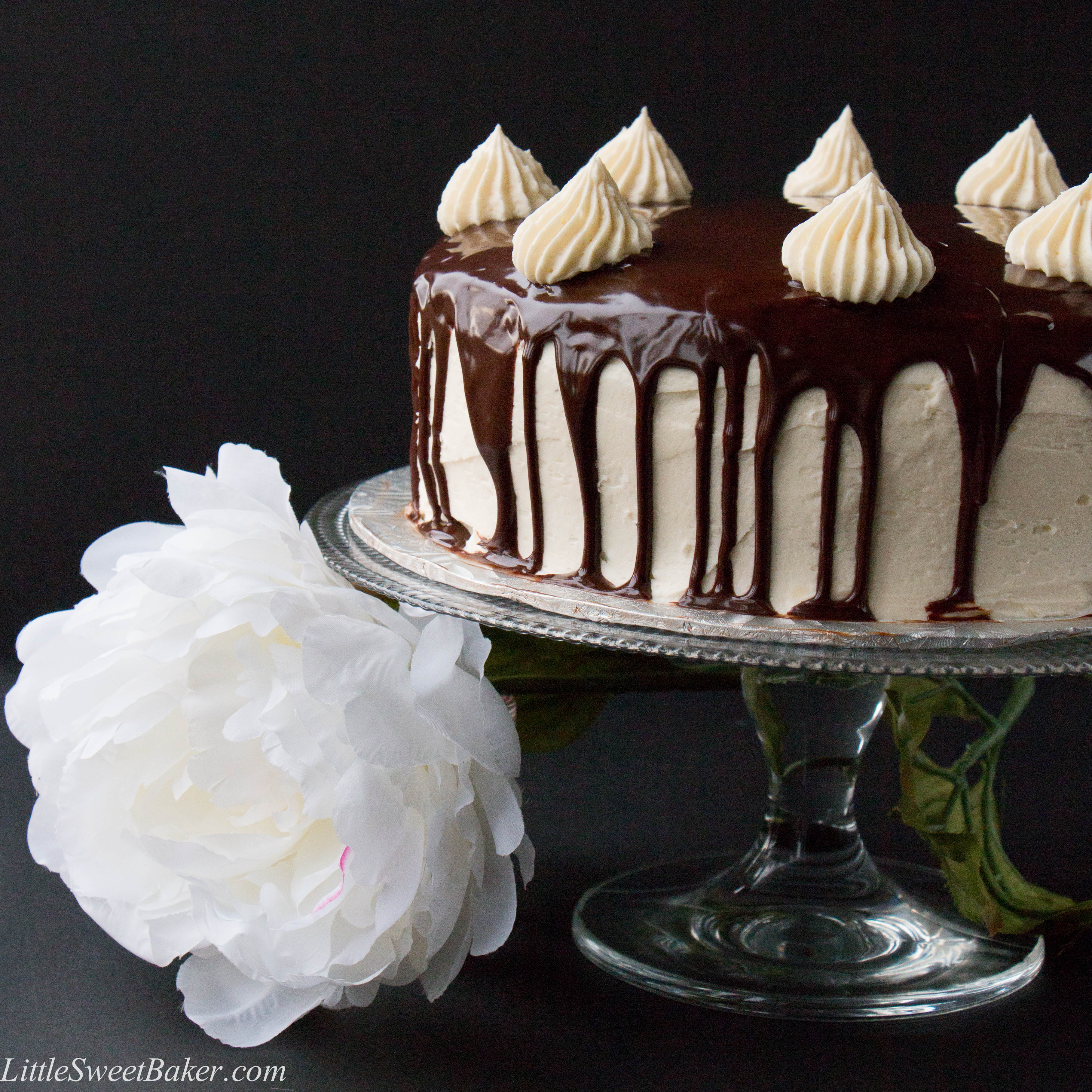 Chocolate Cake With White Icing