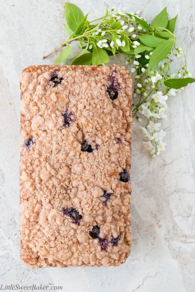 This is a moist flavorful banana bread, studded with delicious blueberries, topped with a crunchy sweet cinnamon streusel, and made without eggs. (video recipe)