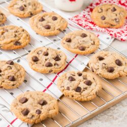 This make-ahead chewy chocolate chip cookie recipe is perfect for the holidays. This recipe makes 5 dozen cookies. It refrigerates and freezes well, so you're always armed with cookie dough ready to be freshly baked!