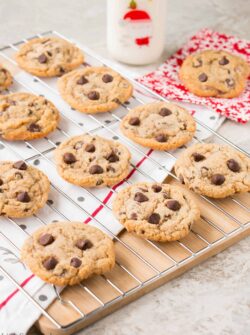 This make-ahead chewy chocolate chip cookie recipe is perfect for the holidays. This recipe makes 5 dozen cookies. It refrigerates and freezes well, so you're always armed with cookie dough ready to be freshly baked!