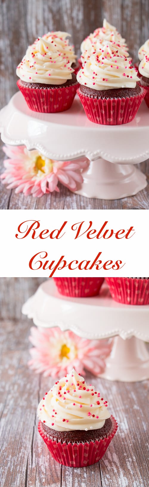 These red velvet cupcakes are as luxurious as they sound. They have a lovely chocolate-vanilla flavor and are soft, moist and fluffy. The frosting is creamy, tangy and perfectly sweet.