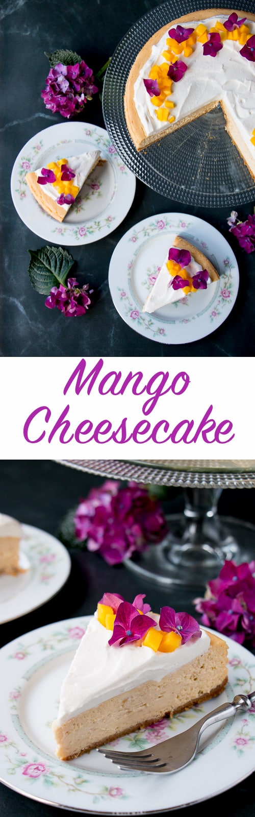 A soft and silky cheesecake with a light tropical flavor of fresh mangoes.