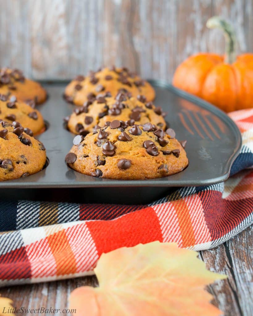 Pumpkin chocolate chip muffins in a muffin pan on a plaid napkin