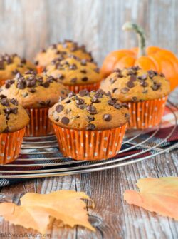 A soft and fluffy pumpkin muffin loaded with chocolate chips. It's a pumpkin and chocolate lovers dream!