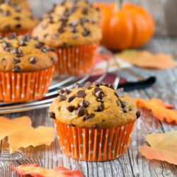 A soft and fluffy pumpkin muffin loaded with chocolate chips. It's a pumpkin and chocolate lovers dream!