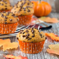 A soft and fluffy pumpkin muffin loaded with chocolate chips. It's a pumpkin and chocolate lovers dream!