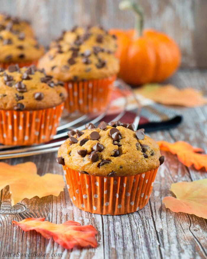 A pumpkin chocolate chip muffin on a wooden surface with fall leaves, muffins and a small pumpkin in the background.