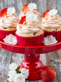 These fresh strawberry cupcakes are made from scratch with real strawberries and topped with a creamy strawberry buttercream. They are incredibly fluffy and moist, and full of fresh fruit flavor. #strawberrycupcakes #homemade #fresh #strawberrybuttercream