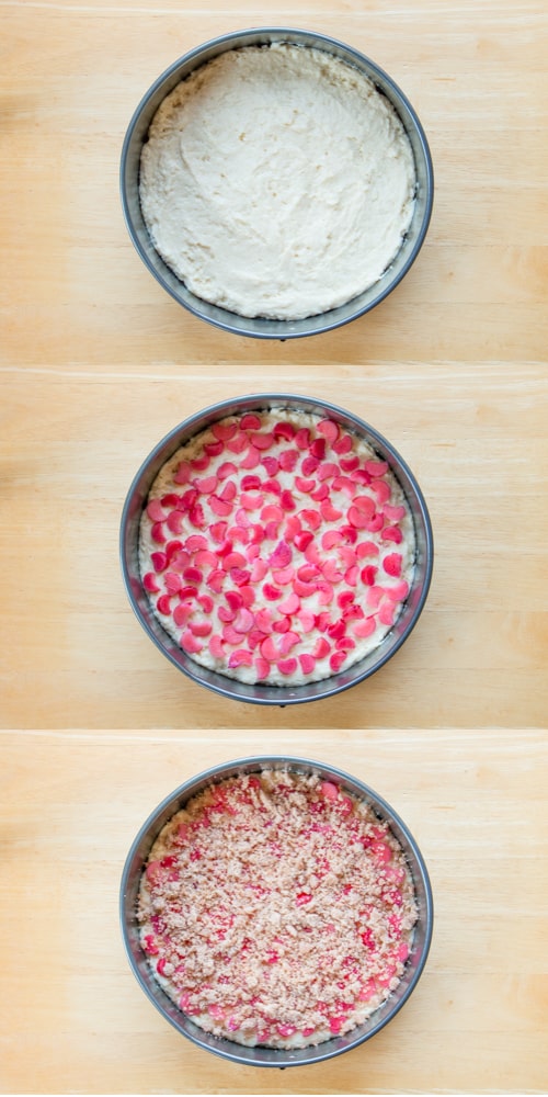 This is a tender and moist sour cream coffee cake topped with juicy pink chunks of rhubarb and a sweet-cinnamon streusel. #rhubarbcake #coffeecake #cinnamonstreusel