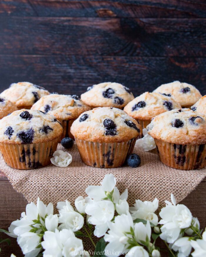 Blueberry muffins on burlap with white flowers in front.