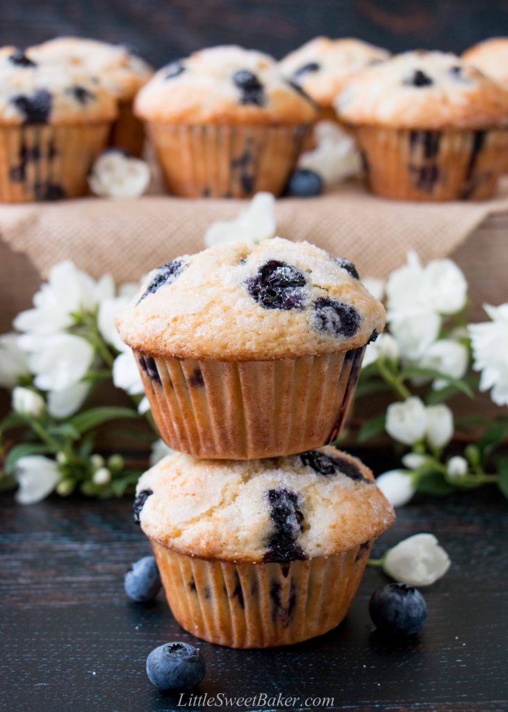 Two blueberry muffins stacked on top of one another with more muffins and flower in background.