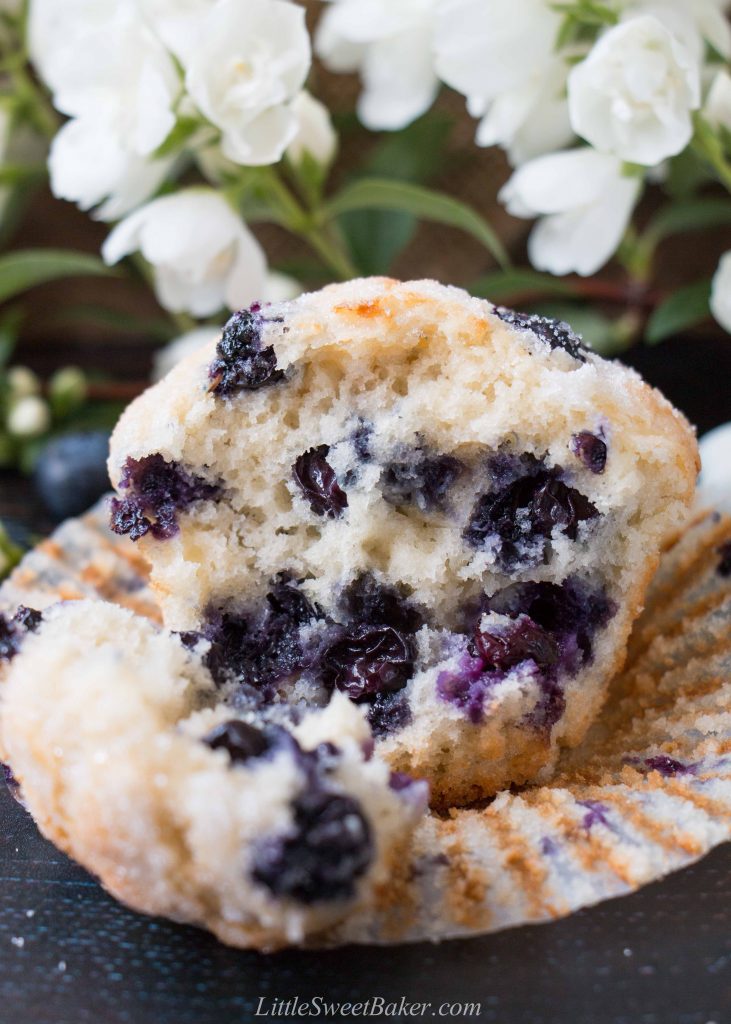 A close-up of a delicious blueberry muffins broken in half to show inside and texture.