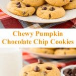 These soft and chewy pumpkin chocolate chip cookies are a perfect taste of fall. They have a lovely pumpkin flavor, lightly spiced and just the right amount of chocolate in every bite! #pumpkinchocolatechipcookies #chewypumpkinchocolatecookies #bestpumpkinchocolatechipcookies