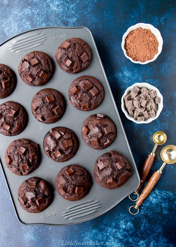 Overhead view of double chocolate muffins in a baking pan on a dark blue background.