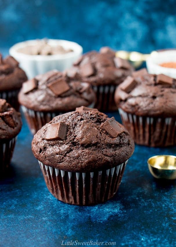 Double chocolate muffins with a dark blue background.