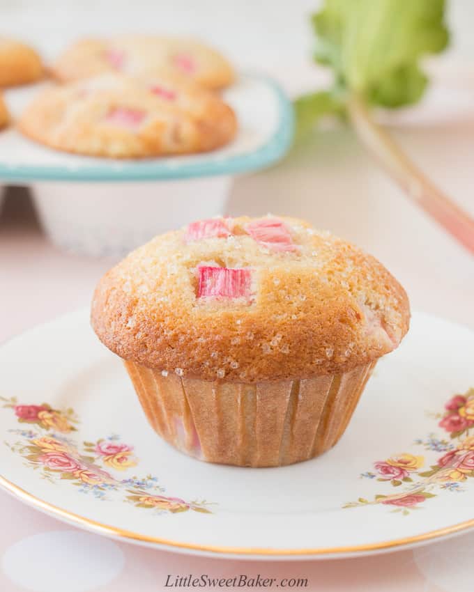 These rhubarb muffins are soft and fluffy, loaded with rhubarb and only take 15 minutes to make! #rhubarbmuffins #freshrhubarb #easyrecipe