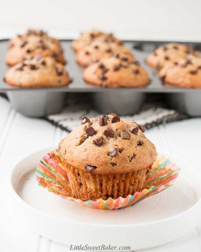 A banana chocolate chip muffin on a white plate with a baking pan of muffins in the background.