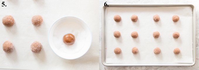 ginger snap cookie dough rolled in sugar and on a baking sheet 