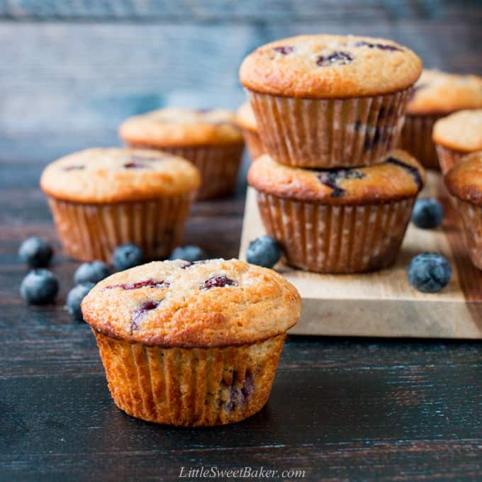 A healthy blueberry muffin with other muffins and blueberries in the background.