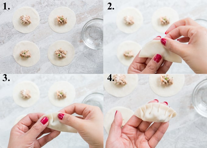 picture collage of how to wrap dumplings