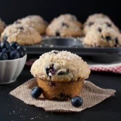 resized image of blueberry muffins