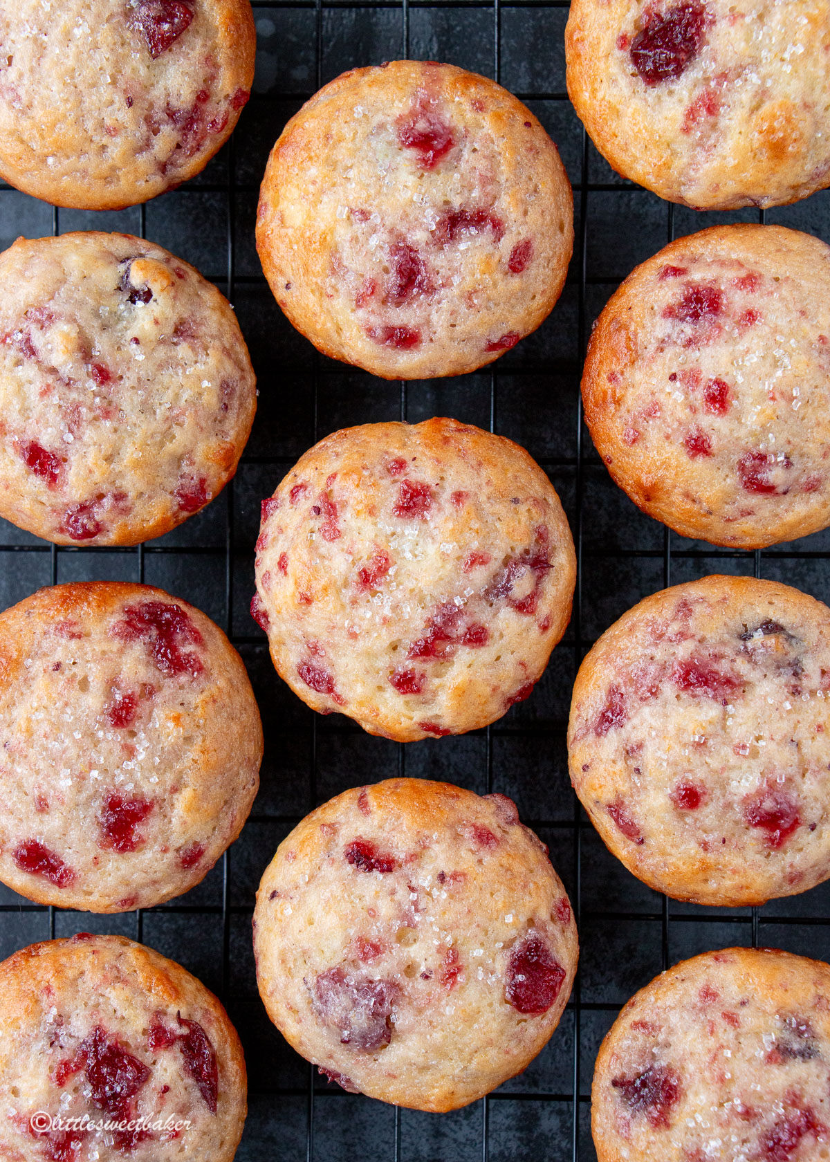 overhead view of cranberry sauce muffins on a cooling rack