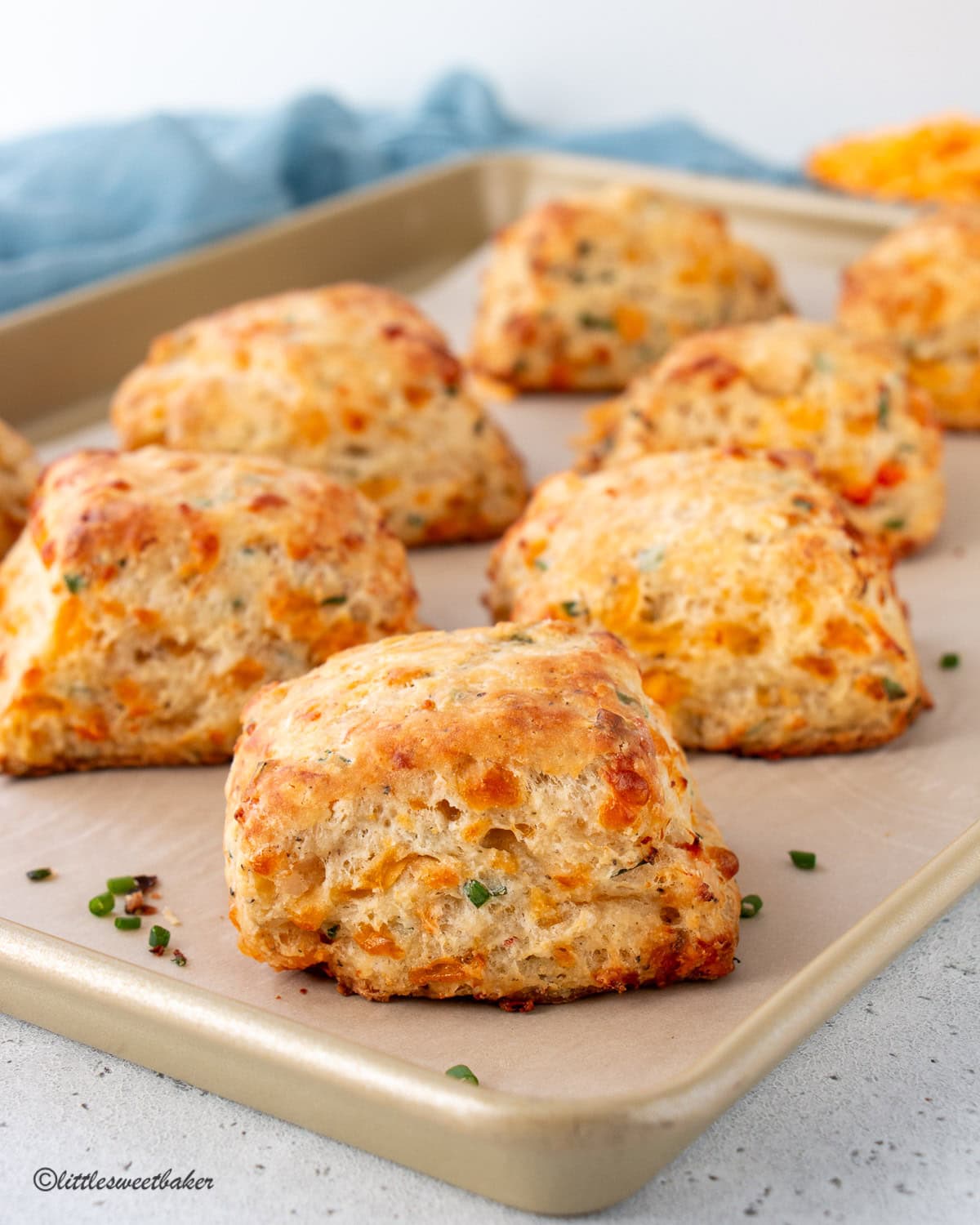 Cheddar cheese lobster biscuits on a baking tray.